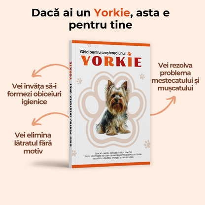 Ghid pentru creșterea unui Yorkie