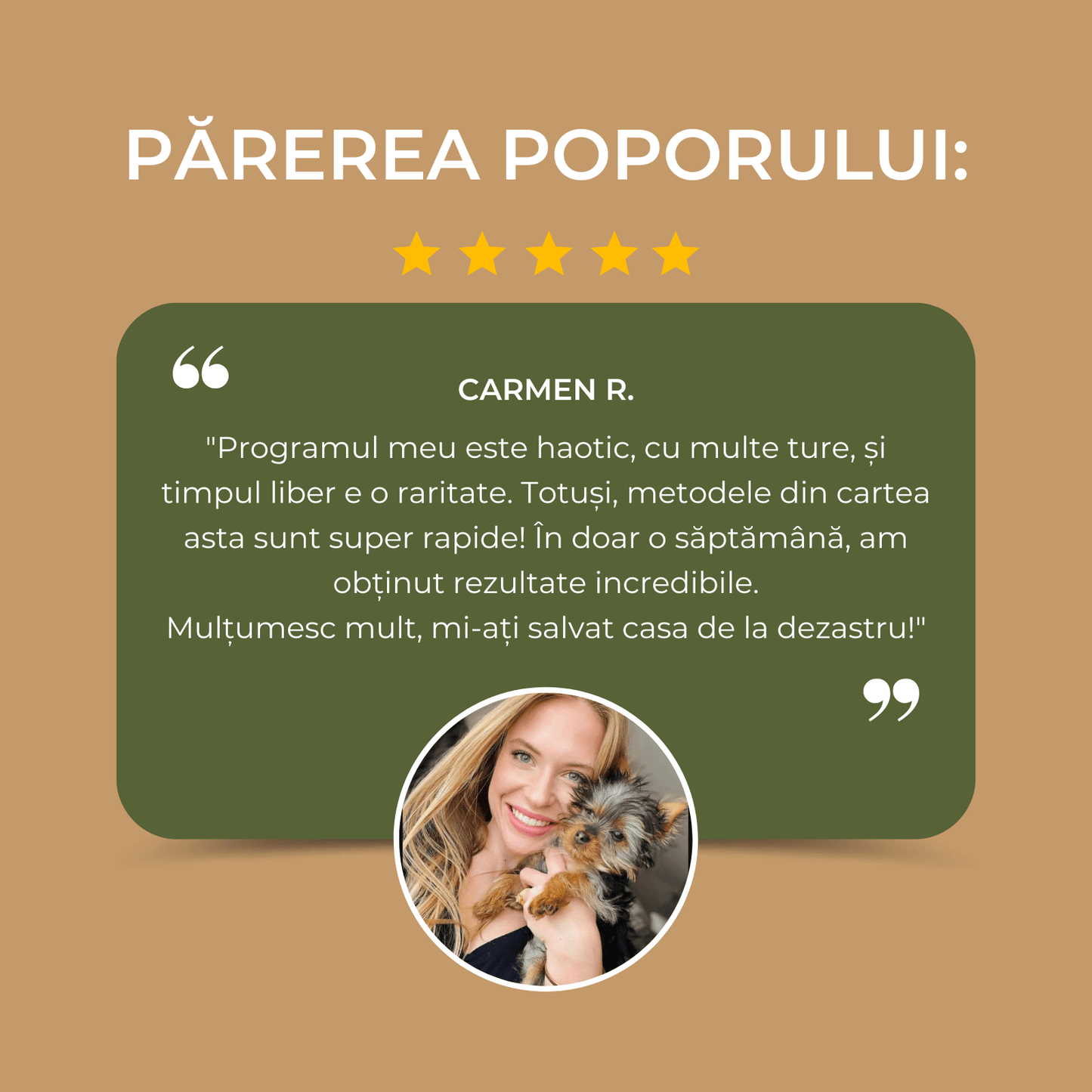 Ghid pentru creșterea unui Yorkie