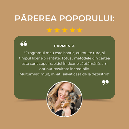 Ghid pentru creșterea unui Yorkie