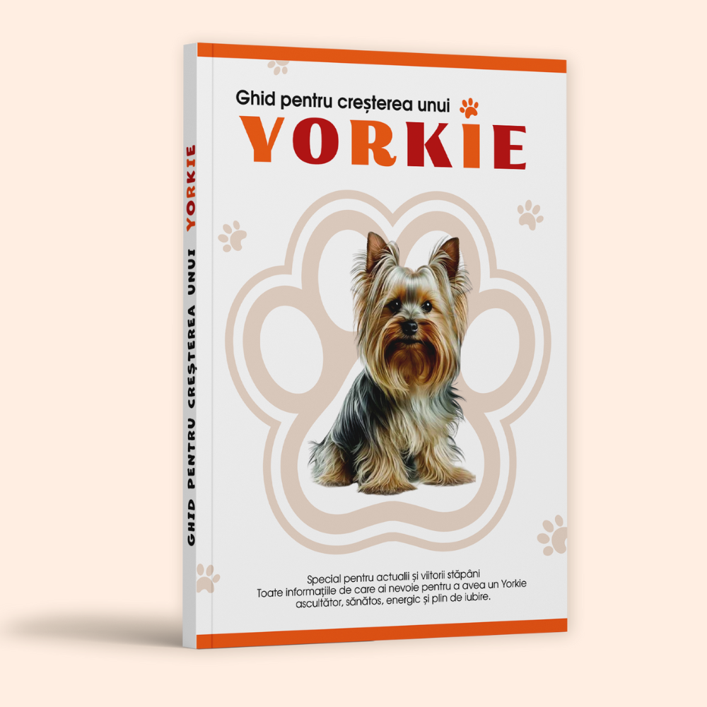 Ghid pentru creșterea unui Yorkie