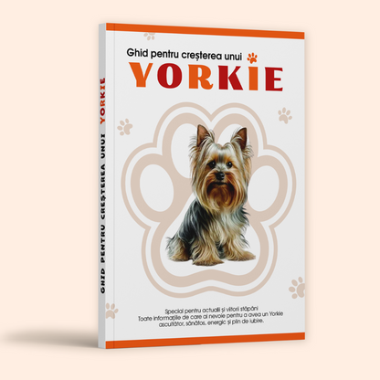 Ghid pentru creșterea unui Yorkie