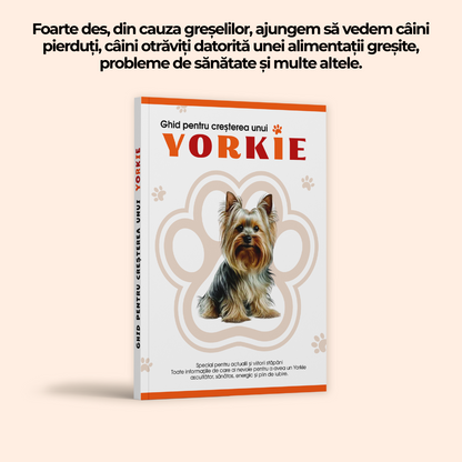 Ghid pentru creșterea unui Yorkie