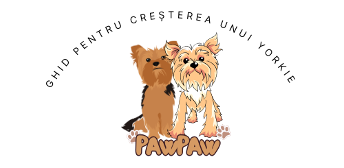 Ghid pentru creșterea unui Yorkie